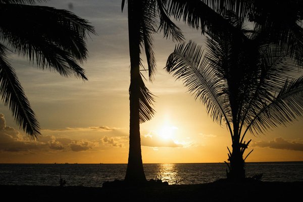 Explorer l'europe : les billets incontournables pour la culture