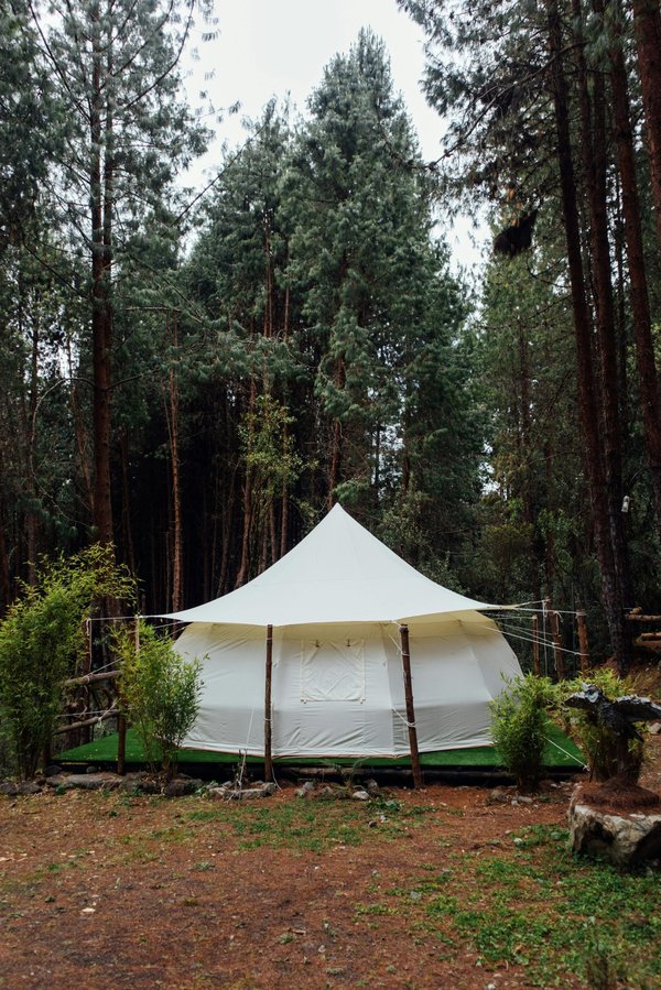 Vacances inoubliables : camping dans les landes à explorer